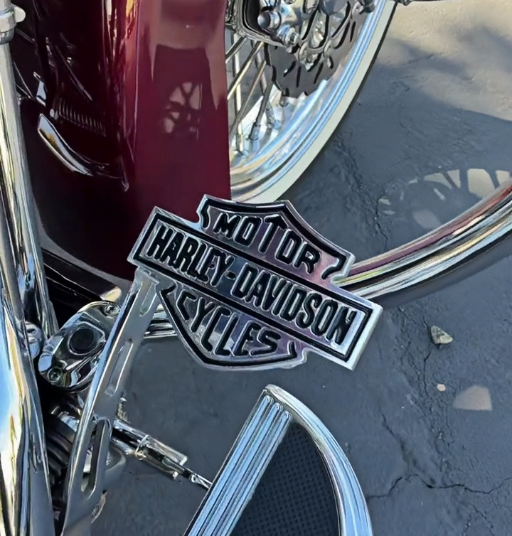 Motorcycle icon custom metal pedals