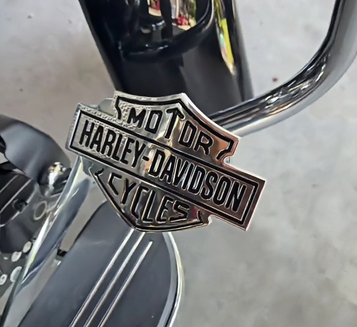 Motorcycle icon custom metal pedals